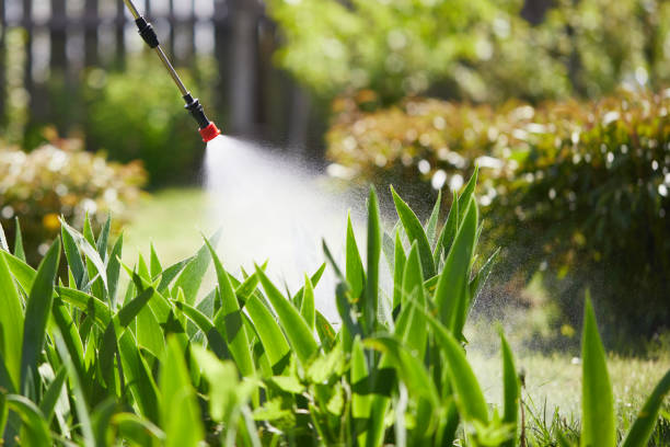 24/7 Emergency Mosquito Control experts in Lodi, NJ