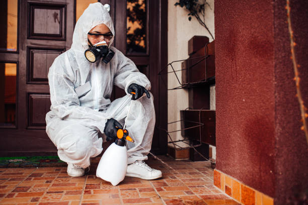 Reliable Mosquito Control contractor in Lodi, NJ by Show Me Pest Control